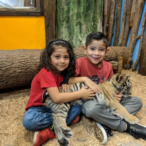 Meet your Posher, Benjamin pulido - Picture 1 of 1